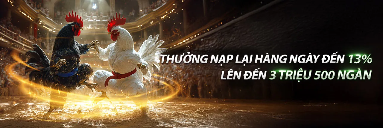 Tải ứng dụng ok9aa trang chủ chính thức ngay để trải nghiệm cá cược di động